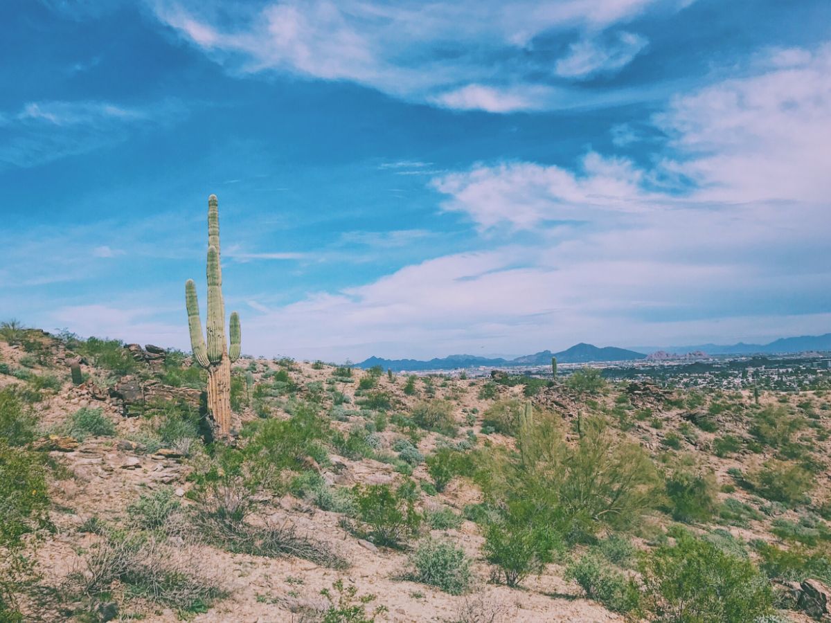 The Best 7 Day Arizona Road Trip Itinerary: A Local's Guide