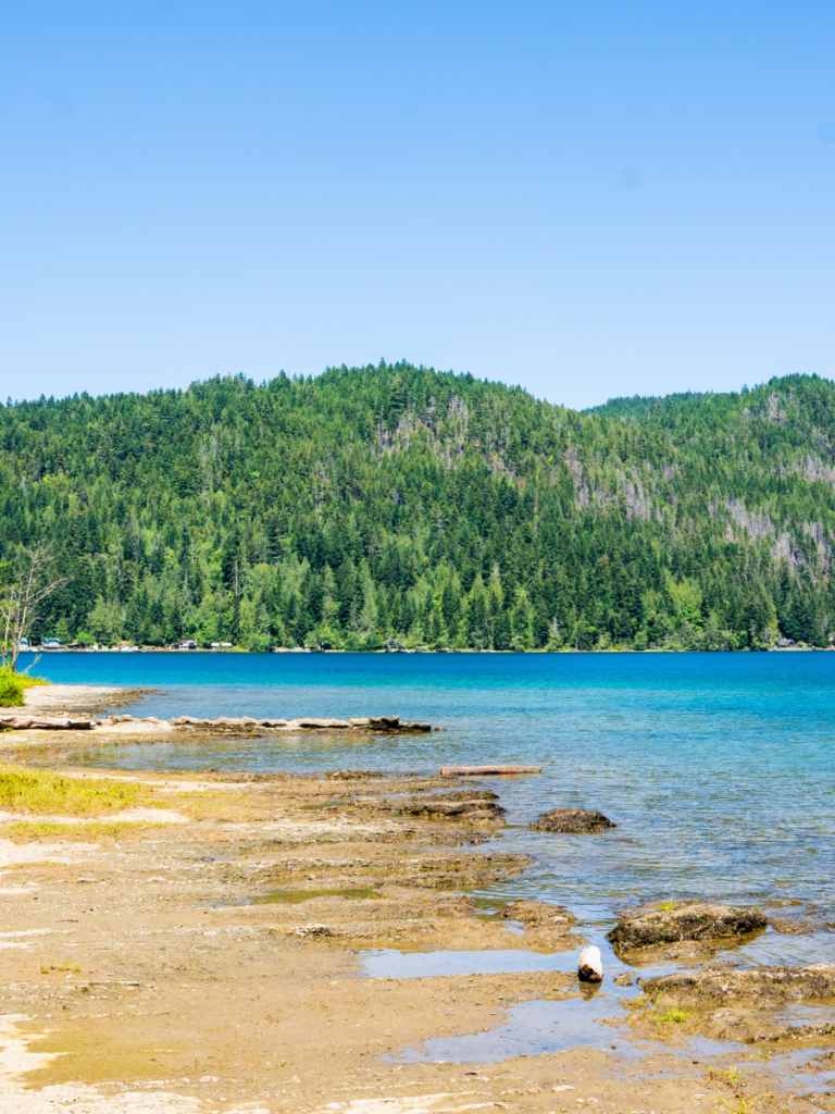 Clear water and forested shoreline of Lake Crescent in Olympic National Park, with tree-covered mountains rising in the background under a bright blue sky.