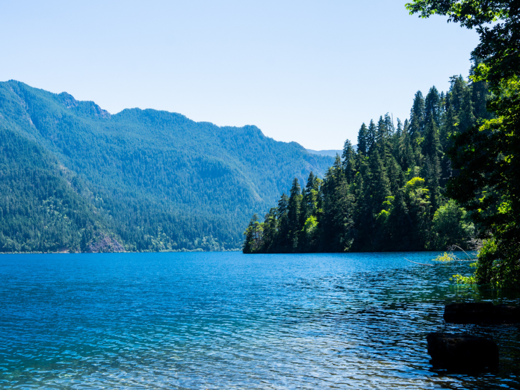 Clear blue waters of Lake Crescent surrounded by lush evergreen forest and forested mountains in Olympic National Park, a peaceful nature stop on a Pacific Northwest road trip.