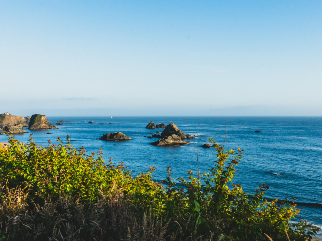 Scenic coastal view of rocky sea stacks rising from the Pacific Ocean along the Oregon Coast, with bright green shrubs in the foreground and calm blue water stretching to the horizon.