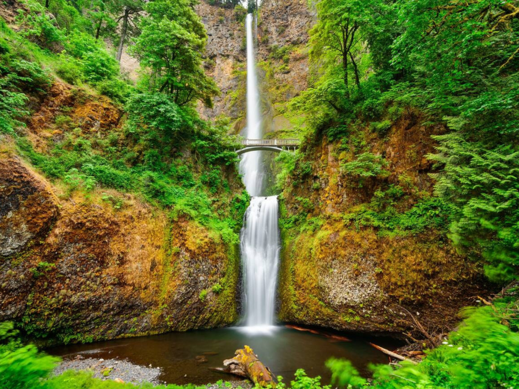 Multnomah Falls cascading in two tiers with a footbridge crossing between, framed by lush green cliffs and forest, a must-see stop along the Columbia River Gorge on a Pacific Northwest road trip.