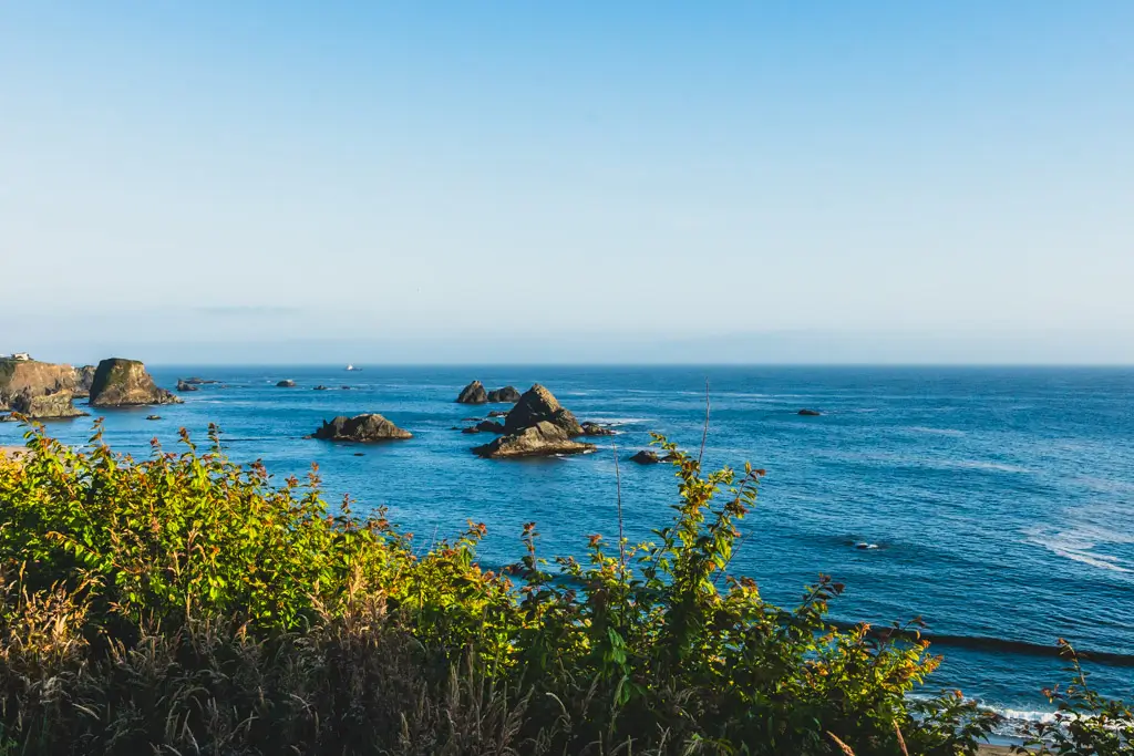 Ocean view near Harris Beach State Park featuring rugged sea stacks rising from the Pacific Ocean, framed by coastal vegetation beneath a clear blue sky on Oregon's southern coast.