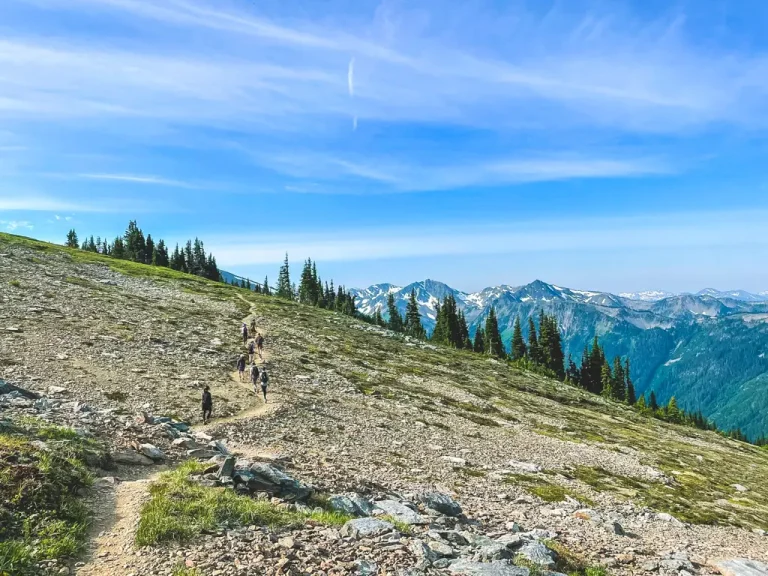 Hikers walking along the Hurricane Ridge trail with sweeping views of rugged mountain peaks, alpine meadows, and evergreen forests in Olympic National Park, Washington.