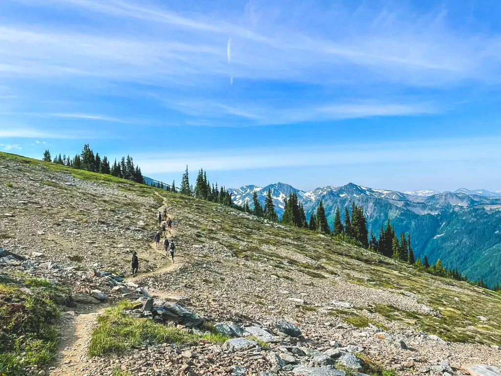 Hikers walking along the Hurricane Ridge trail with sweeping views of rugged mountain peaks, alpine meadows, and evergreen forests in Olympic National Park, Washington.
