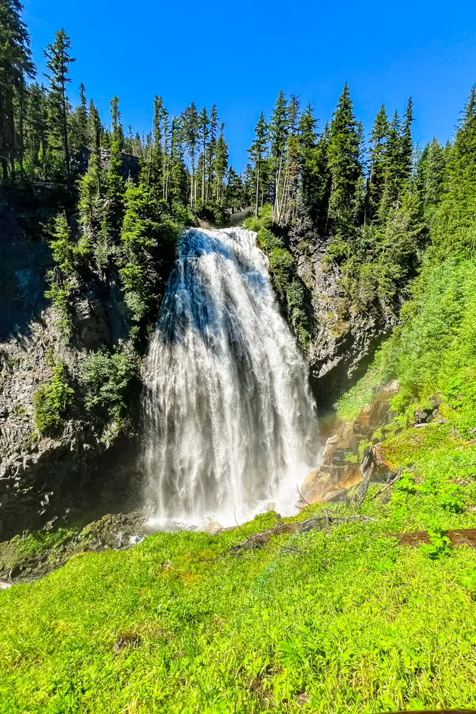 Narada Falls cascading down a rugged cliff surrounded by lush green vegetation and evergreen trees in Mount Rainier National Park, Washington.