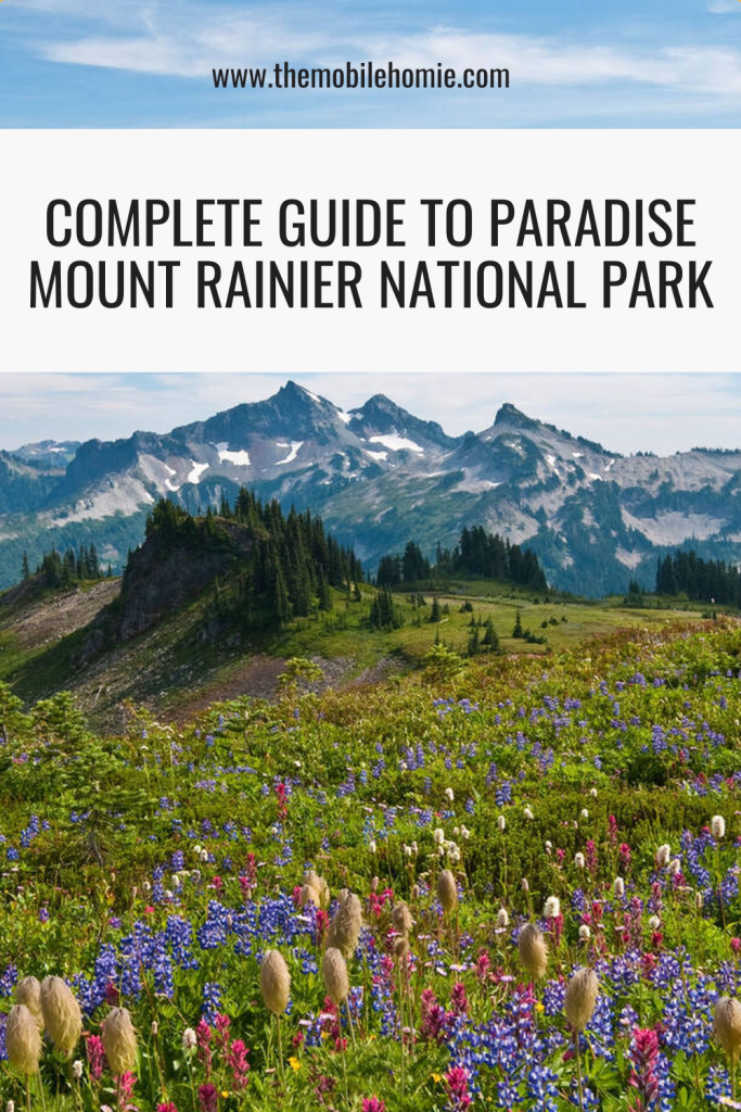 Pinterest graphic with text ‘Complete Guide to Paradise Mount Rainier National Park’ over a photo of colorful wildflowers and rugged mountain peaks.