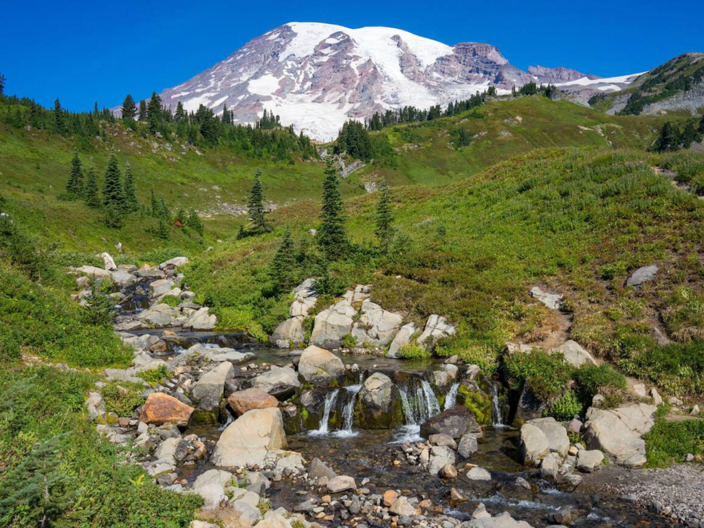 Snow-capped Mount Rainier rising above a lush green meadow with a rocky creek and small waterfalls in the foreground on a clear summer day.