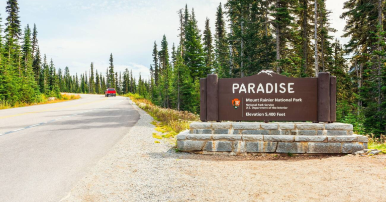 Paradise entrance sign at Mount Rainier National Park Paradise showing elevation 5,400 feet with a forested road and car in the background.