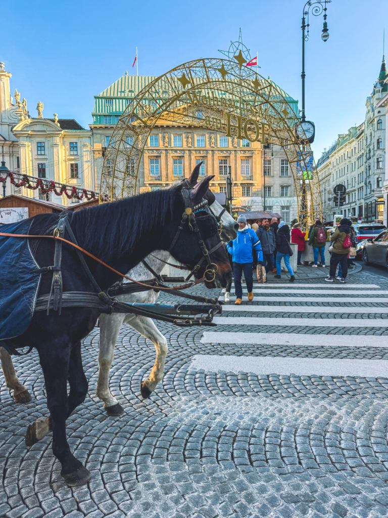 A pair of horses pulling a carriage cross a cobblestone street in front of the golden archway of the Weihnachtsmarkt am Hof in Vienna, with holiday crowds gathering under clear blue skies.