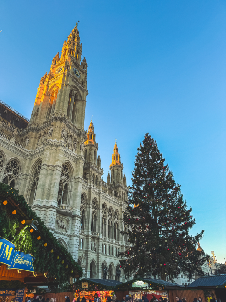 A towering Christmas tree stands beside the illuminated clock tower of Vienna’s Rathaus as festive stalls line the base of the building during the city’s main Christmas market at dusk.