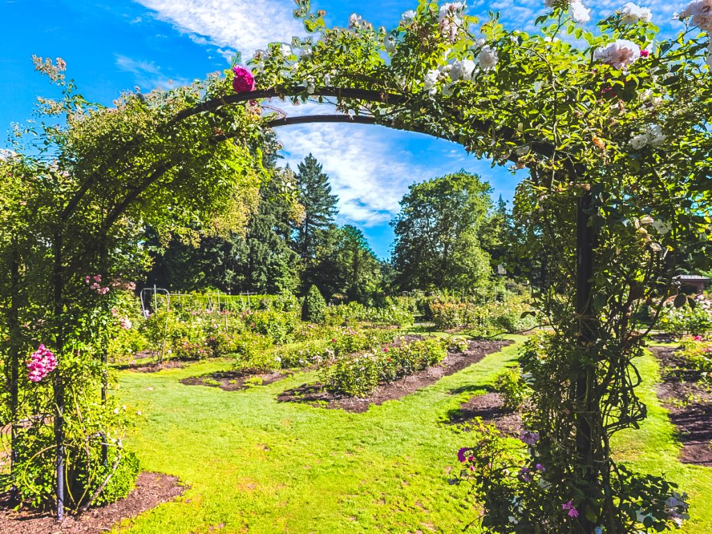 Flower-covered archway framing a lush garden filled with blooming roses and green pathways under a bright blue sky