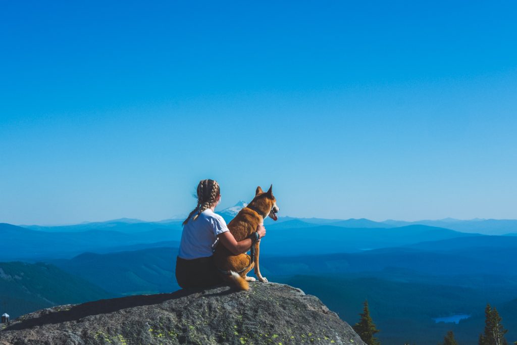 A person sitting on a rocky overlook with their dog, looking out over layered blue mountain ranges on a clear day, capturing one of the peaceful things to see near Timberline Lodge