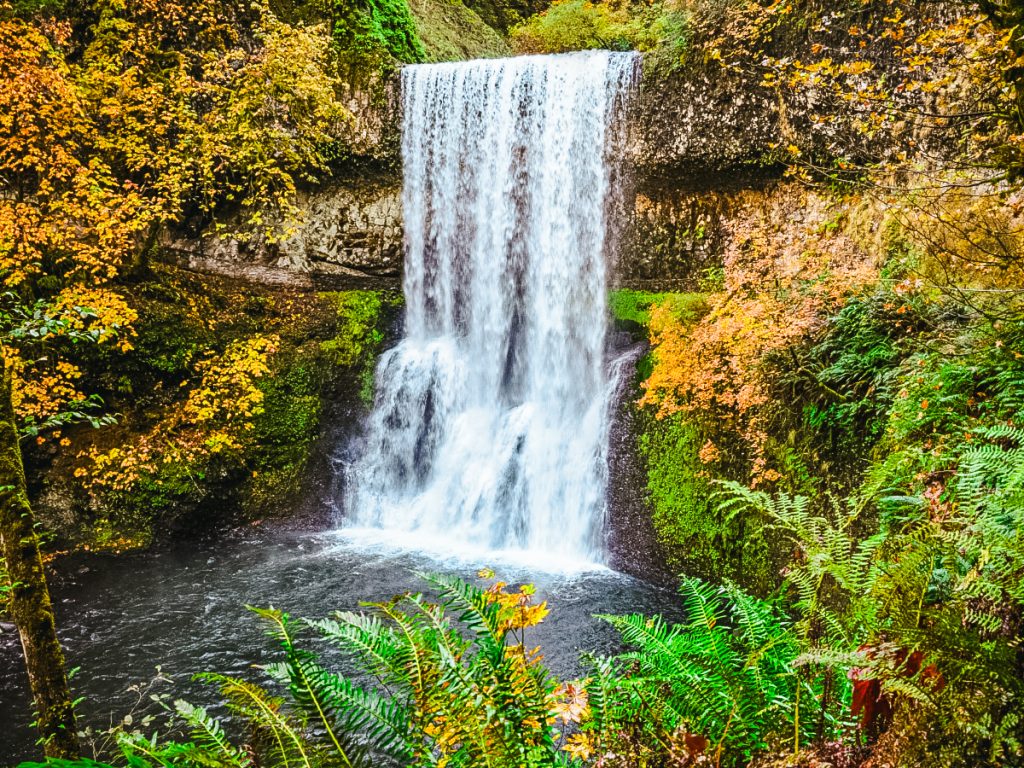 Alt Text:
A powerful waterfall pouring into a shaded pool surrounded by mossy cliffs, ferns, and fall foliage at Silver Falls State Park