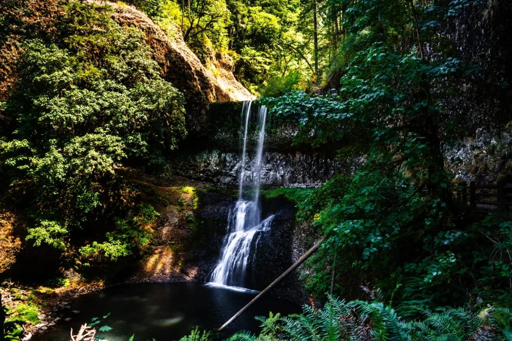 Lower South Falls cascading over a basalt cliff into a dark pool, surrounded by dense green forest along the Trail of Ten Falls at Silver Falls State Park in Oregon.