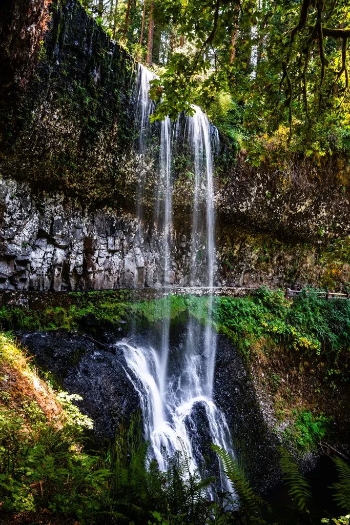 Lower South Falls cascading over a moss-covered basalt cliff surrounded by lush forest at Silver Falls State Park in Oregon, with the hiking trail passing behind the waterfall.