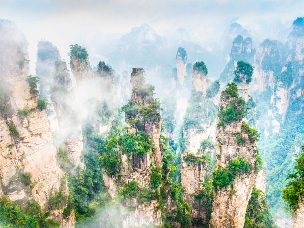 Tall sandstone pillar mountains covered in lush greenery rising through mist and fog in Zhangjiajie National Forest Park, China, creating a dramatic “floating mountains” landscape.