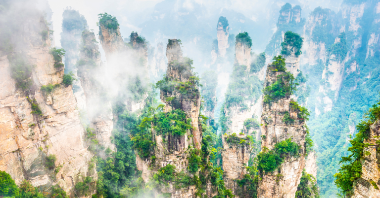 Tall sandstone pillar mountains covered in lush greenery rising through mist and fog in Zhangjiajie National Forest Park, China, creating a dramatic “floating mountains” landscape.