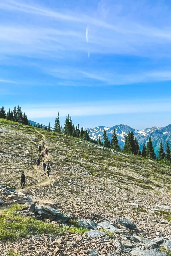 Hikers walking along the Hurricane Ridge trail with sweeping views of rugged mountain peaks, alpine meadows, and evergreen forests in Olympic National Park, Washington.