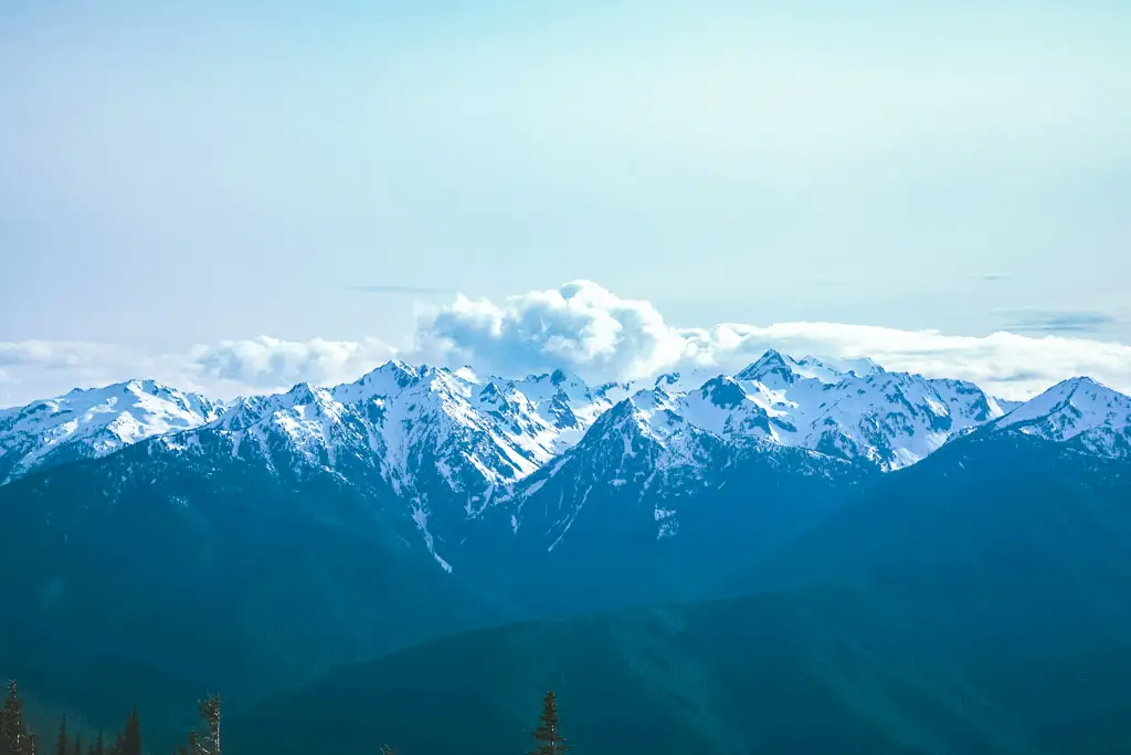 Snow-capped peaks of the Olympic Mountains stretch across the horizon as seen from Hurricane Ridge in Olympic National Park, Washington.
