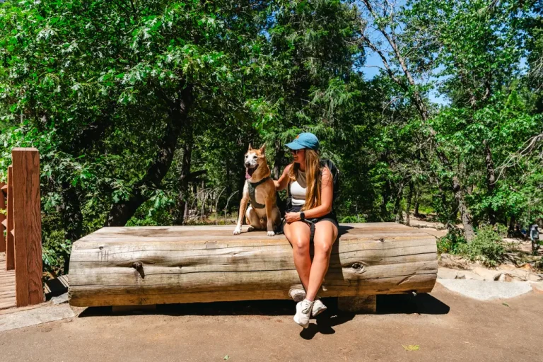 Person and dog taking a break on a wooden bench along the Bridalveil Fall Trail in Yosemite National Park. This short, paved trail is one of the park's most accessible walks for visitors exploring Yosemite with a leashed dog.