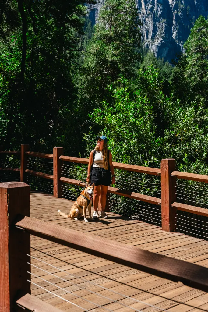 Person walking a leashed dog along the wooden boardwalk on the Bridalveil Fall Trail in Yosemite National Park. The paved and accessible trail is one of the best places to enjoy Yosemite with your dog while surrounded by towering granite cliffs.