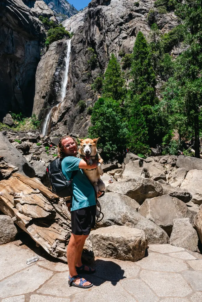 Person holding a dog near the base of Lower Yosemite Falls in Yosemite National Park. This paved, dog-friendly viewpoint offers a close-up look at one of Yosemite's most iconic waterfalls.
