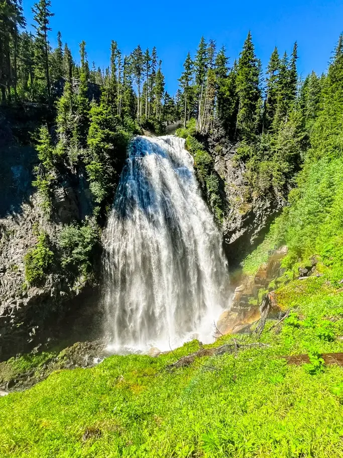 Narada Falls cascading down a rugged cliff surrounded by lush green vegetation and evergreen trees in Mount Rainier National Park, Washington.