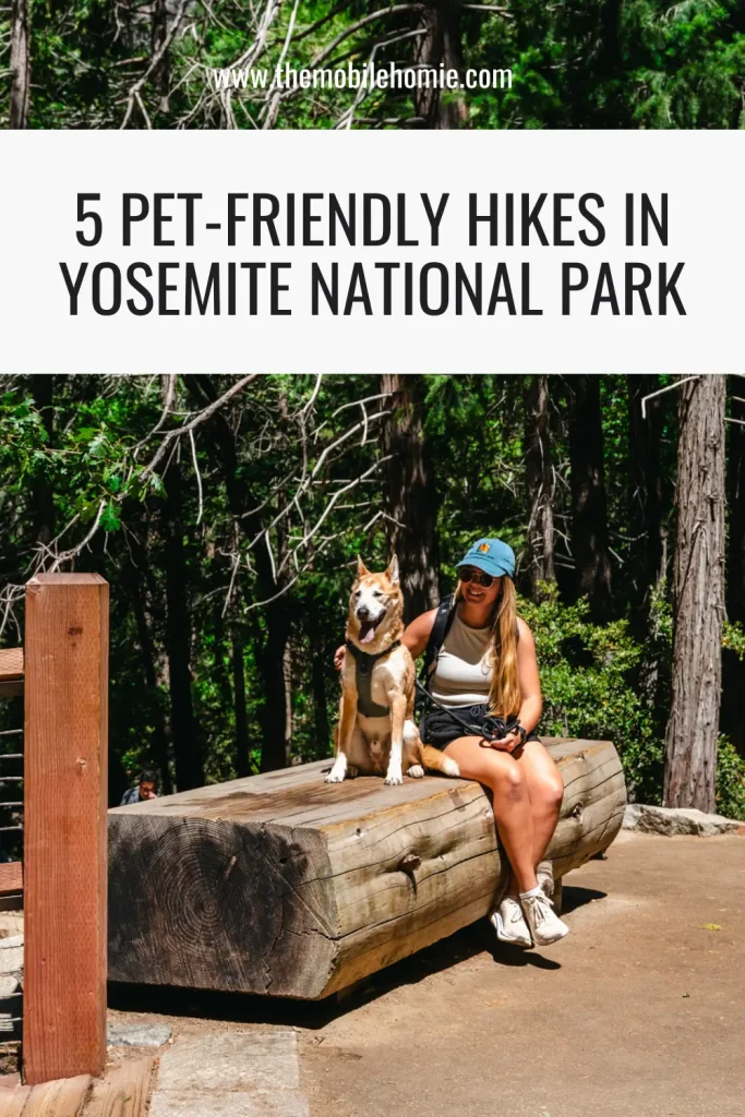 Pinterest graphic for 5 pet-friendly hikes in Yosemite National Park featuring Jordyn Verzera of The Mobile Homie sitting with her dog Rizzo along a forested trail in Yosemite.