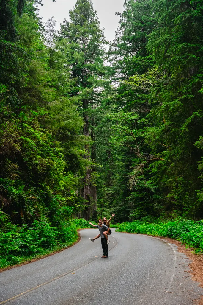 Couple posing in the middle of a scenic road lined with towering coast redwood trees in Redwood National and State Parks, California.