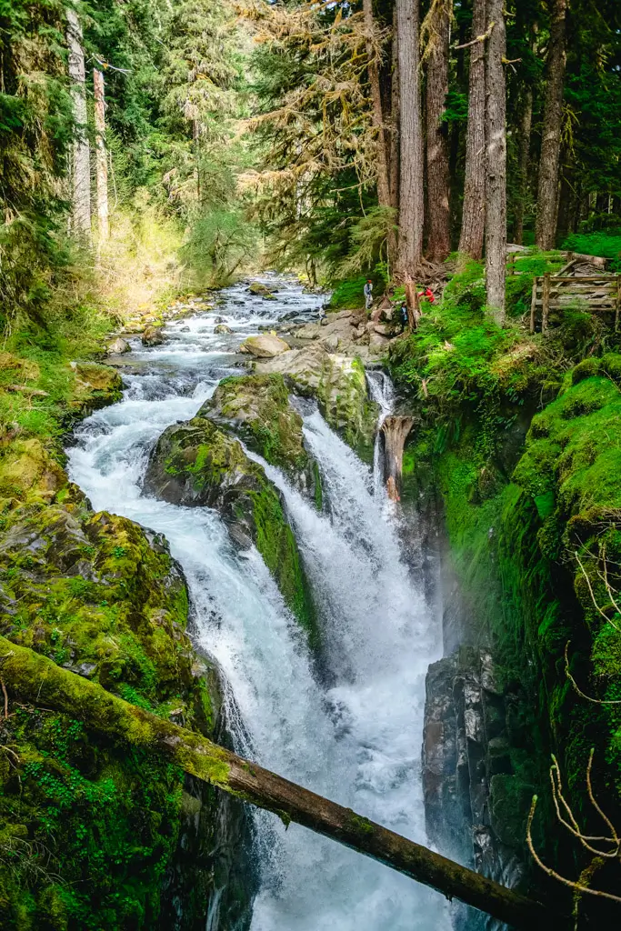 Sol Duc Falls cascading through a narrow moss-covered canyon surrounded by lush old-growth forest in Olympic National Park, Washington.